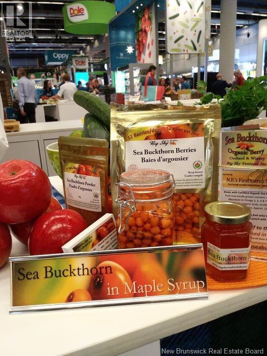 320 Red Bank Road, Chipman, New Brunswick  E4A 2B1 - Photo 17 - NB129583