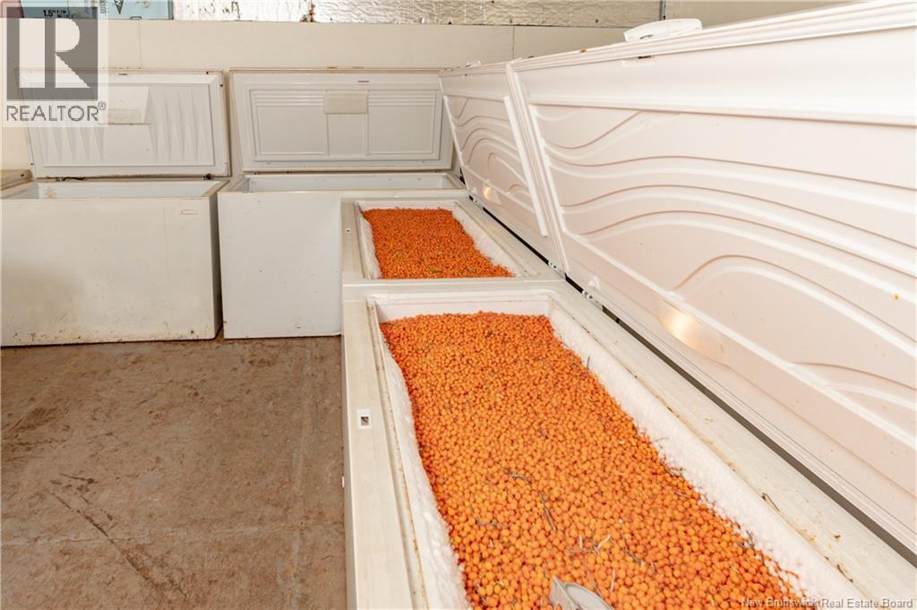 320 Red Bank Road, Chipman, New Brunswick  E4A 2B1 - Photo 42 - NB129583