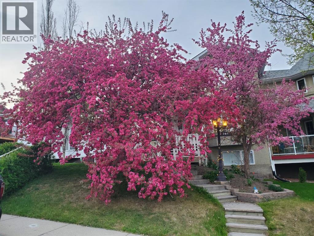 202 30 Avenue Nw, Calgary, Alberta  T2M 2N2 - Photo 4 - A2264722