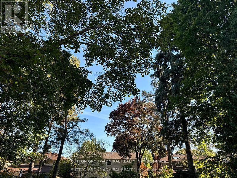53 Bestview Drive, Toronto, Ontario  M2M 2X8 - Photo 33 - C12504534