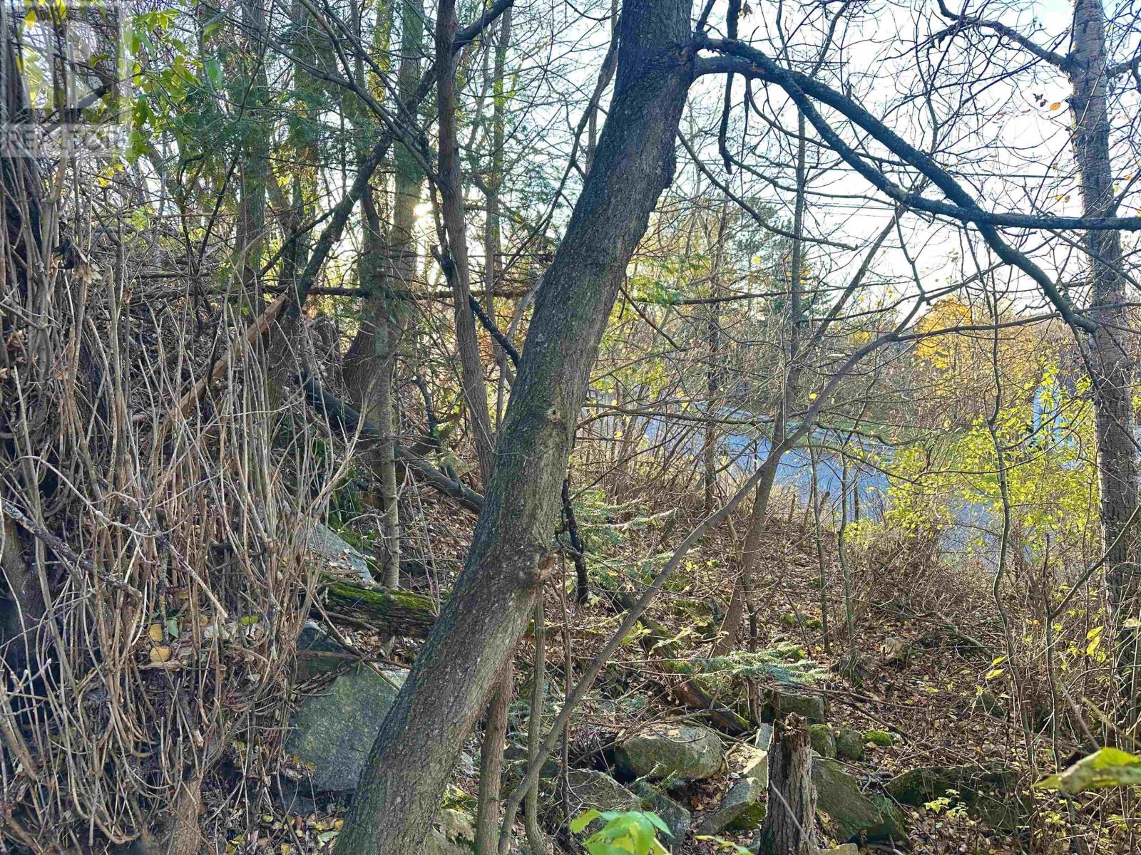 Lot 16 Beatty Street, Keewatin, Ontario  P0X 1C0 - Photo 16 - TB253329