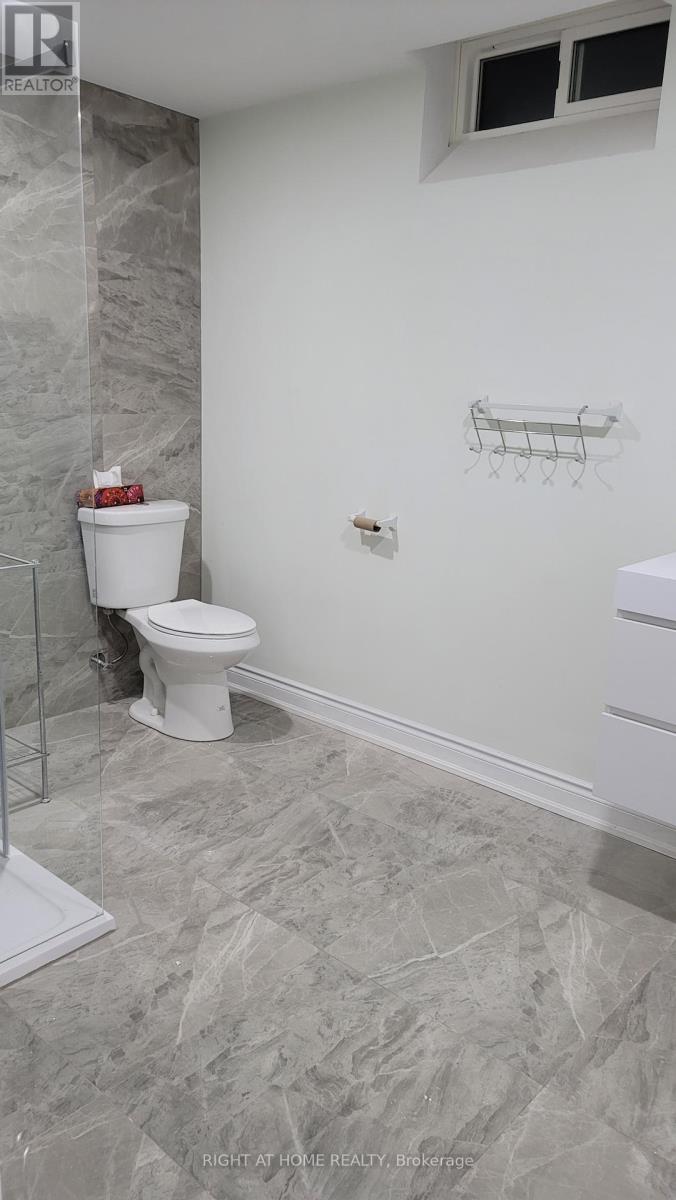 Lower Level - 275 River Oaks Boulevard W, Oakville, Ontario  L6H 3V2 - Photo 27 - W12504526