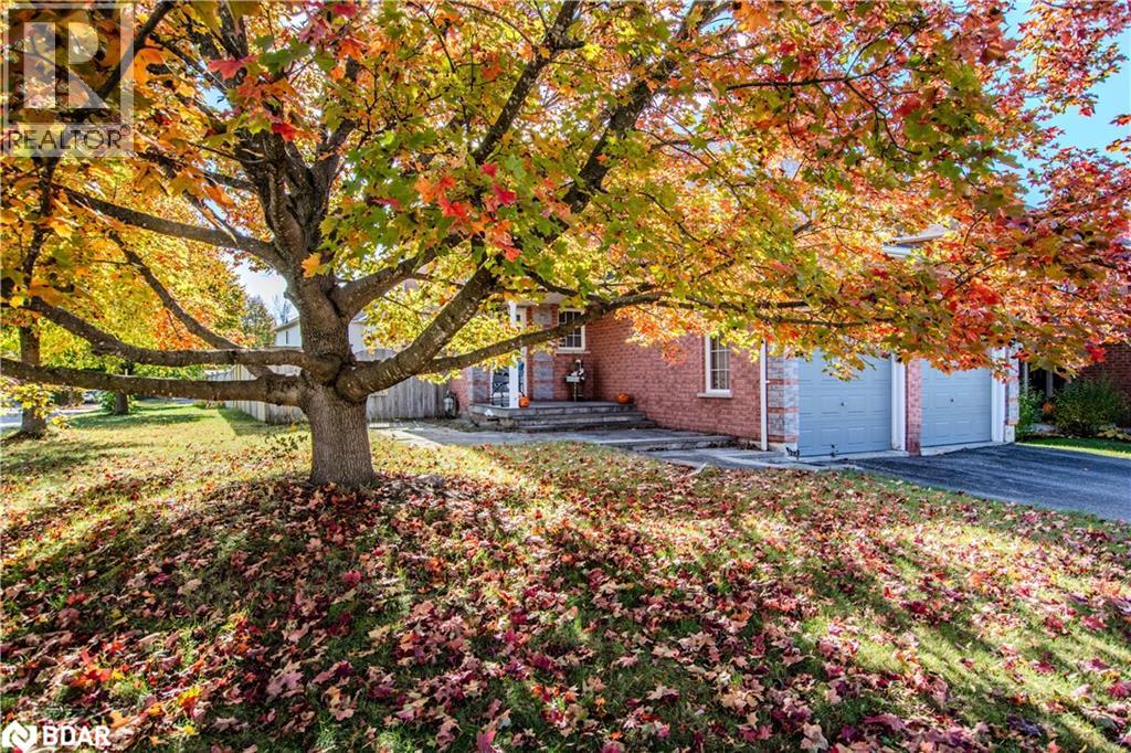 63 Gore Drive, Barrie, Ontario  L4N 5R5 - Photo 3 - 40784384