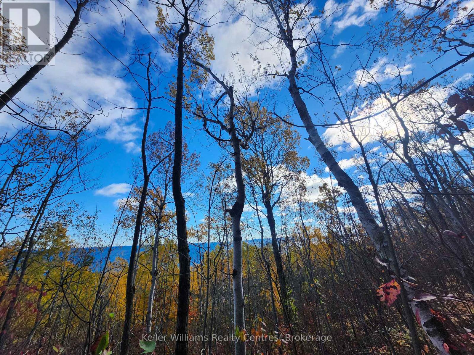 Lt 15 Plan 834 Grey Road 1, Georgian Bluffs, Ontario  N0H 1S0 - Photo 14 - X12504774