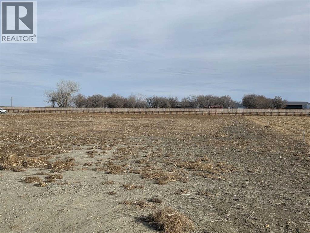 205 Naismith Street, Chin, Alberta  T1M 0B9 - Photo 1 - A2268537