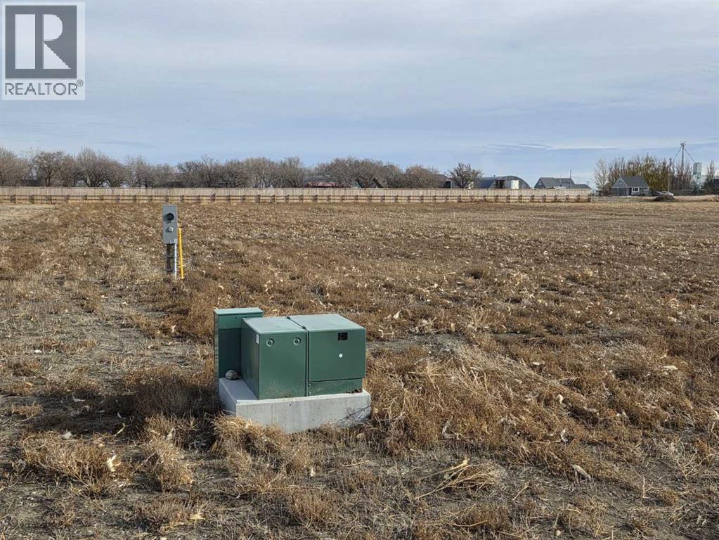 205 Naismith Street, Chin, Alberta  T1M 0B9 - Photo 2 - A2268537