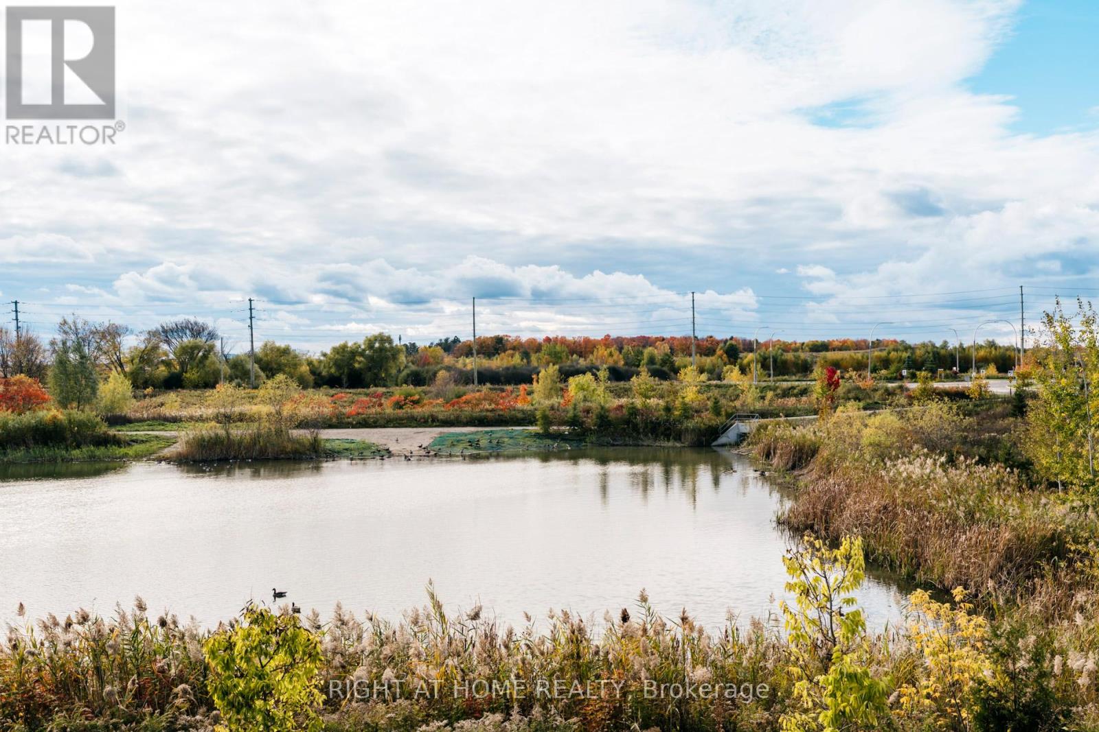 14 Velvet Drive, Whitby, Ontario  L1P 0P6 - Photo 42 - E12504844