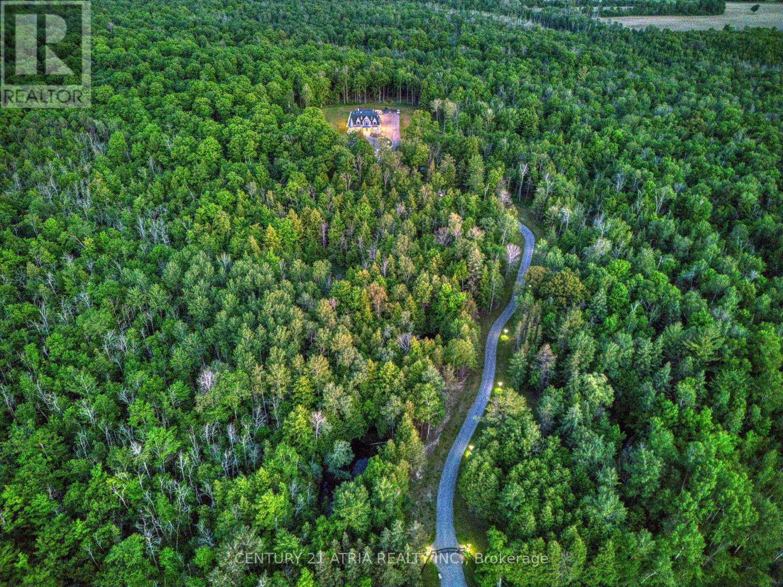 3225 Davis Drive, Whitchurch-Stouffville, Ontario  L4A 2P8 - Photo 6 - N12504694