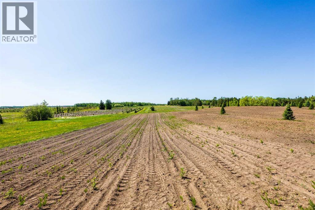 272007 Twp Rd 452, Rural Wetaskiwin No. 10, Alberta  T0C 1H0 - Photo 12 - A2197351