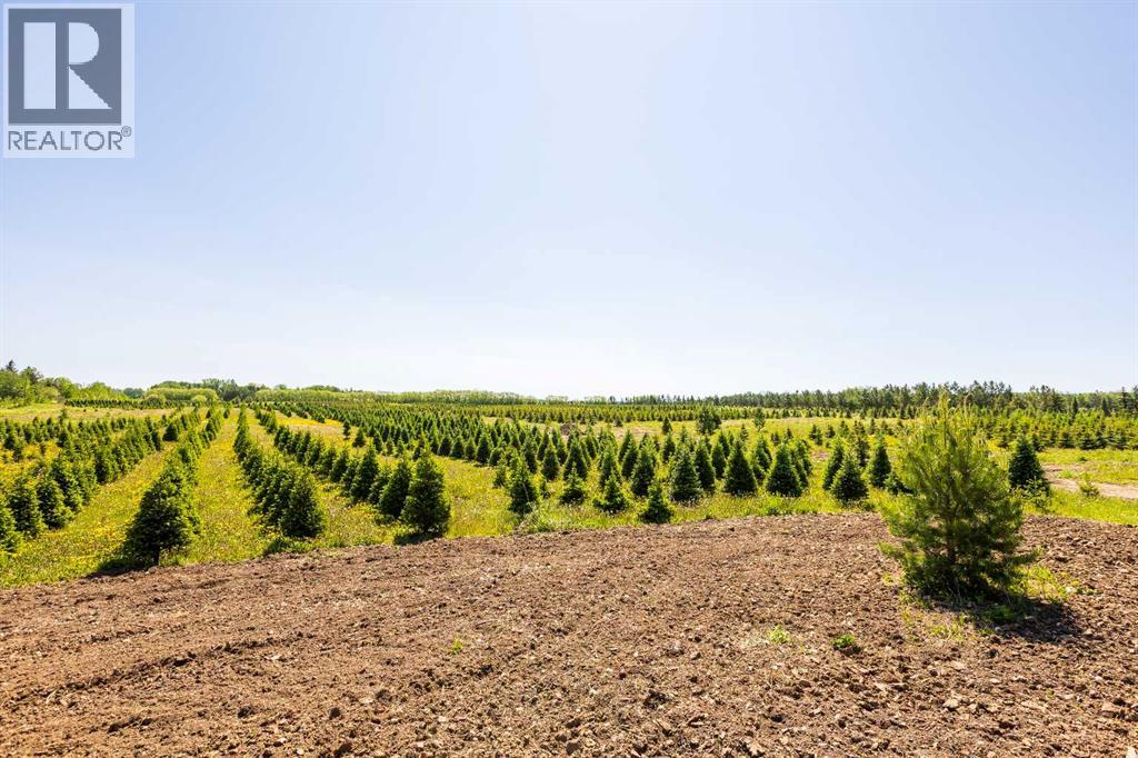 272007 Twp Rd 452, Rural Wetaskiwin No. 10, Alberta  T0C 1H0 - Photo 16 - A2197351