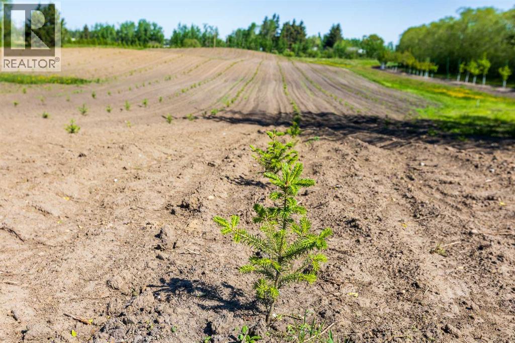 272007 Twp Rd 452, Rural Wetaskiwin No. 10, Alberta  T0C 1H0 - Photo 14 - A2197351