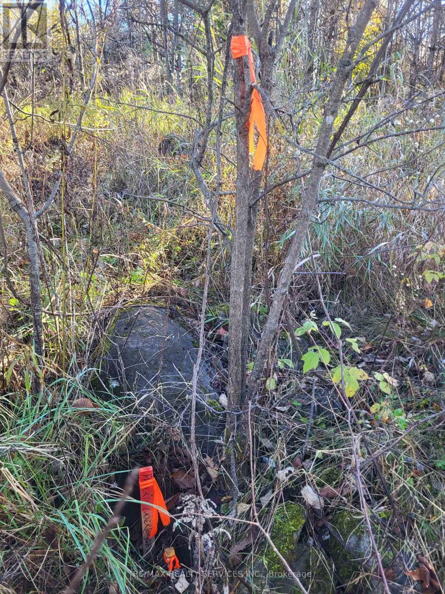 395421 Concession 2 Road, Chatsworth, Ontario  N0H 2V0 - Photo 10 - X12504880