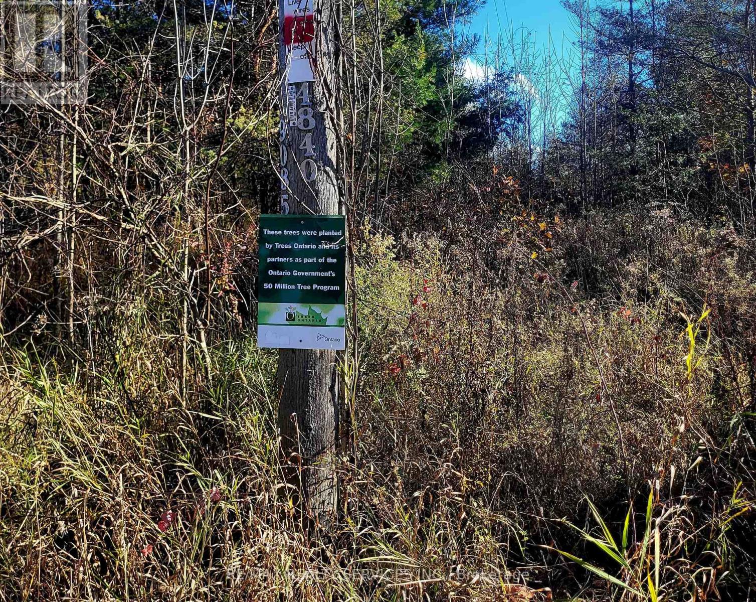 395421 Concession 2 Road, Chatsworth, Ontario  N0H 2V0 - Photo 11 - X12504880