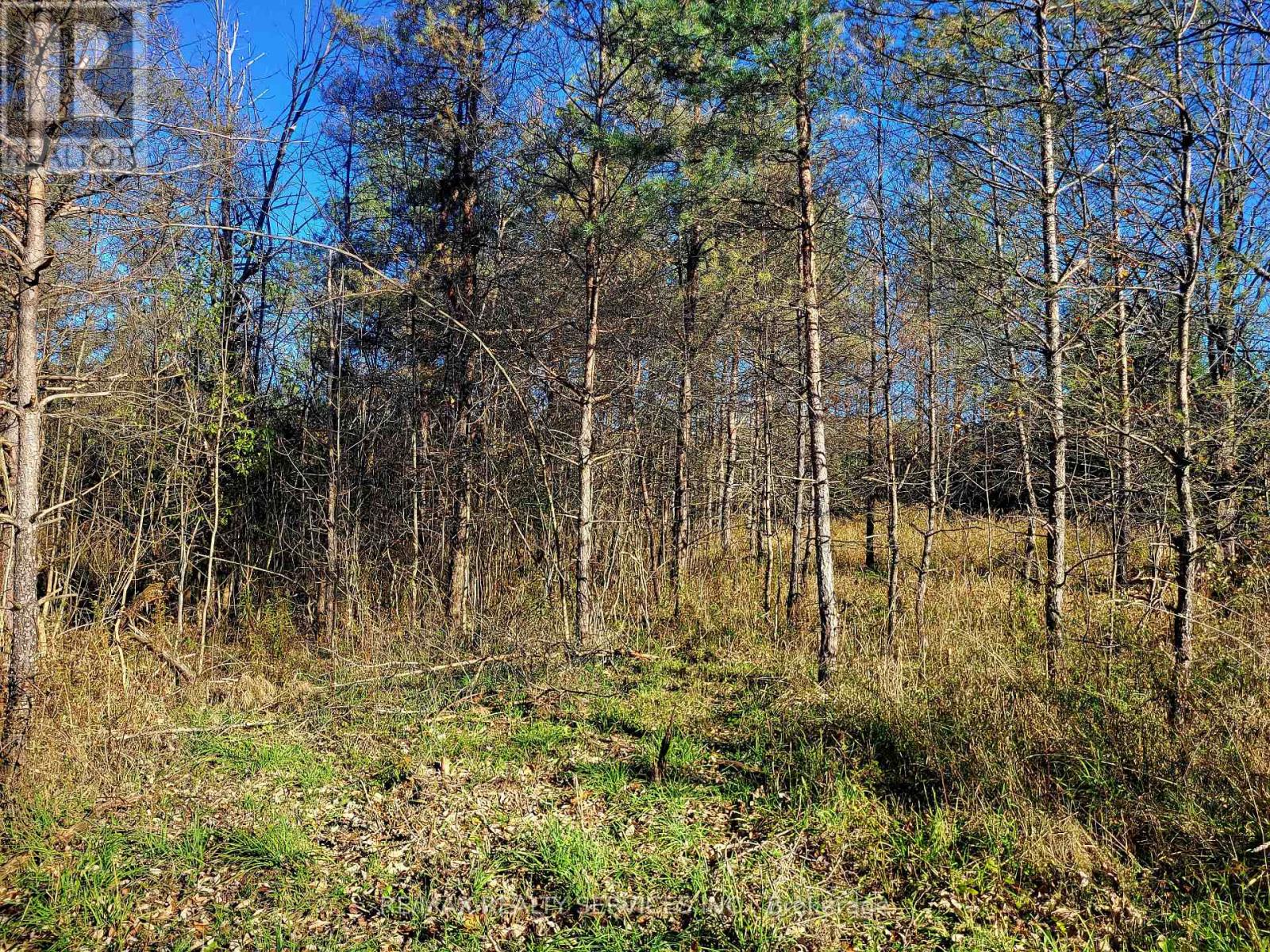 395421 Concession 2 Road, Chatsworth, Ontario  N0H 2V0 - Photo 7 - X12504880