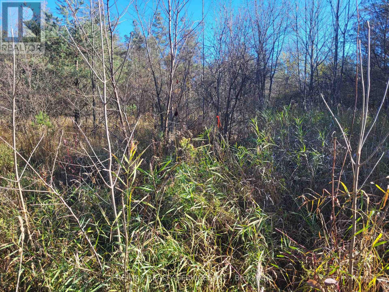 395421 Concession 2 Road, Chatsworth, Ontario  N0H 2V0 - Photo 9 - X12504880