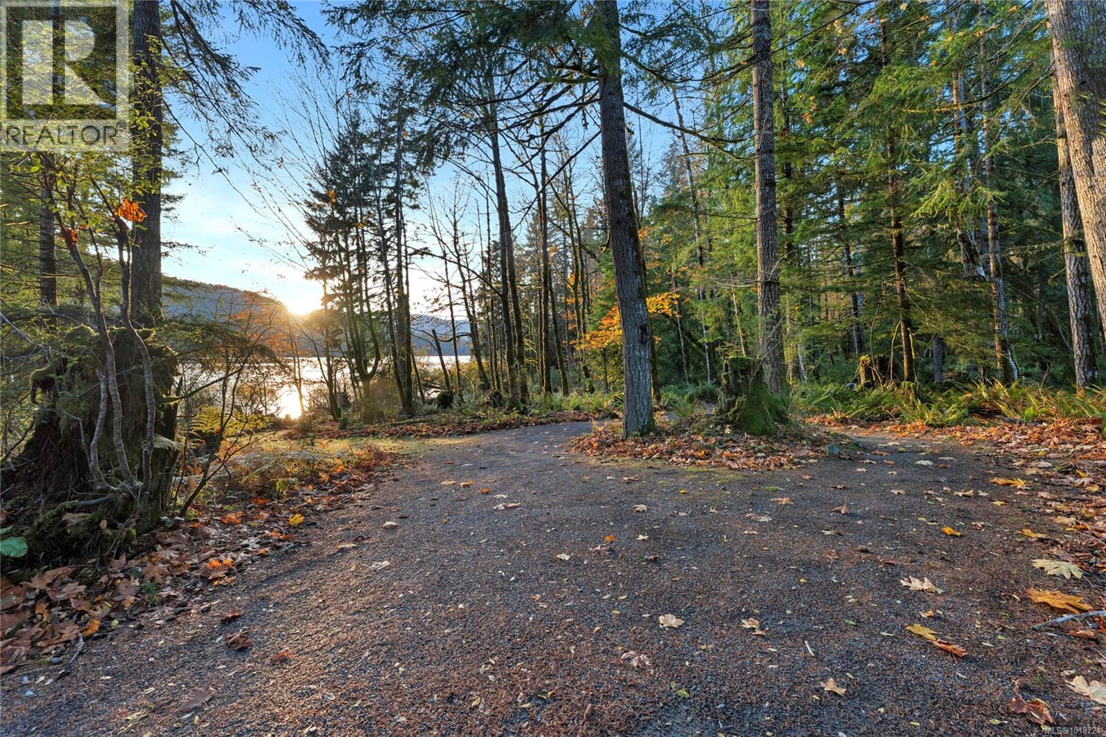 8105 Miracle Close, Youbou, British Columbia  V0R 3E1 - Photo 71 - 1018724