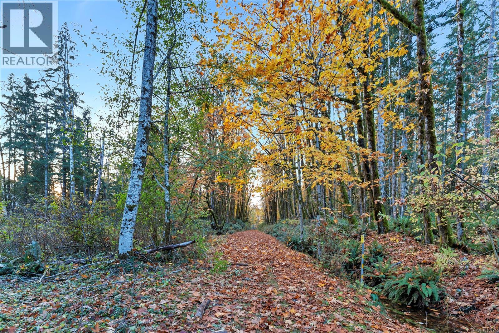 8105 Miracle Close, Youbou, British Columbia  V0R 3E1 - Photo 75 - 1018724