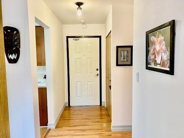 333 31955 Old Yale Road, Abbotsford, British Columbia  V2T 4N1 - Photo 11 - R3063888