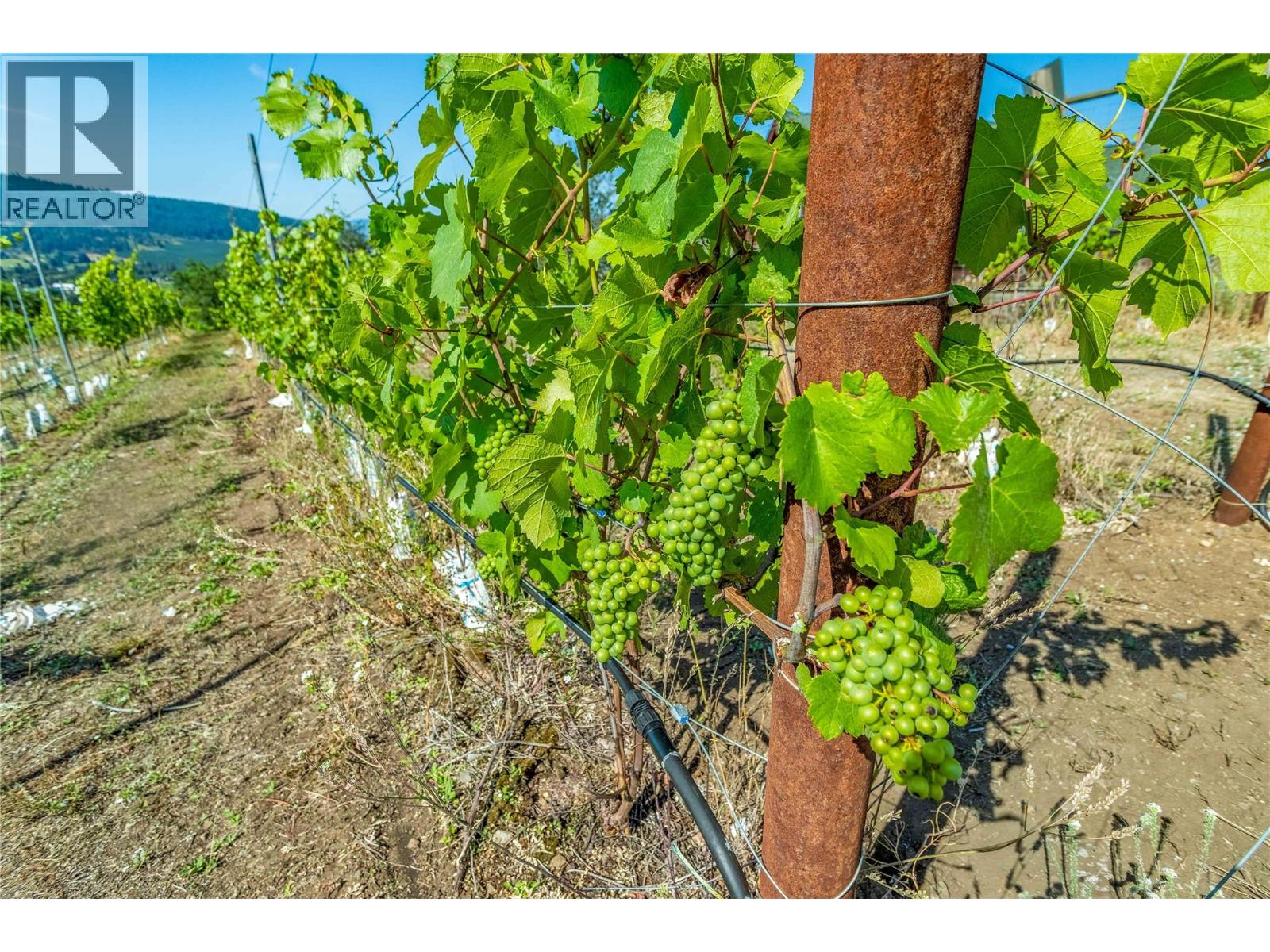 9269 Highway 6, Coldstream, British Columbia