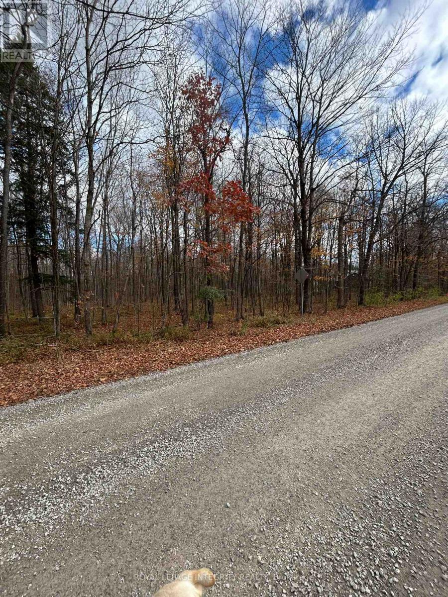 Pt Lt17 Kyle Road, Augusta, Ontario  K0G 1R0 - Photo 2 - X12263906