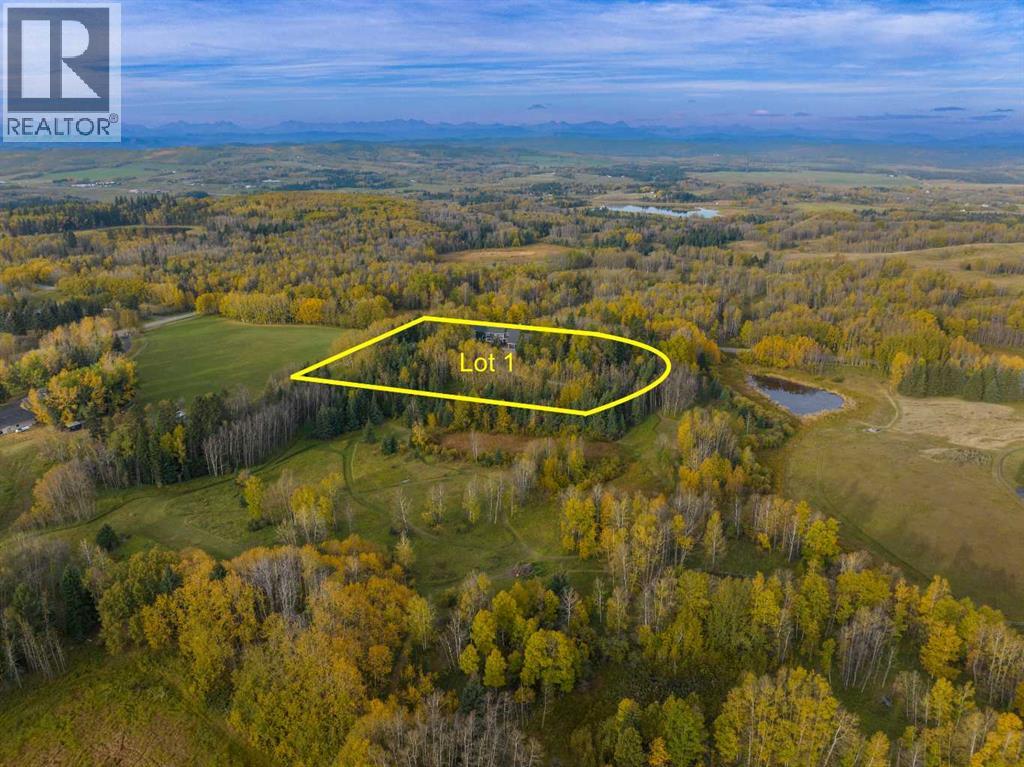 2511687;6;1, Rural Foothills County, Alberta  T1S 2V2 - Photo 49 - A2260389