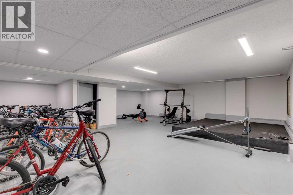 401, 1731 9a Street Sw, Calgary, Alberta  T2T 3E7 - Photo 30 - A2266334