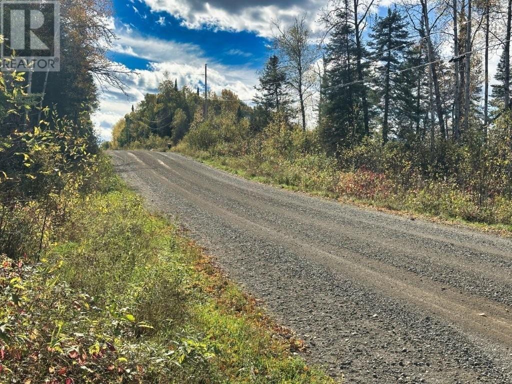 267 Sitch Road, Kakabeka Falls, Ontario  P0T 1W0 - Photo 49 - TB253245