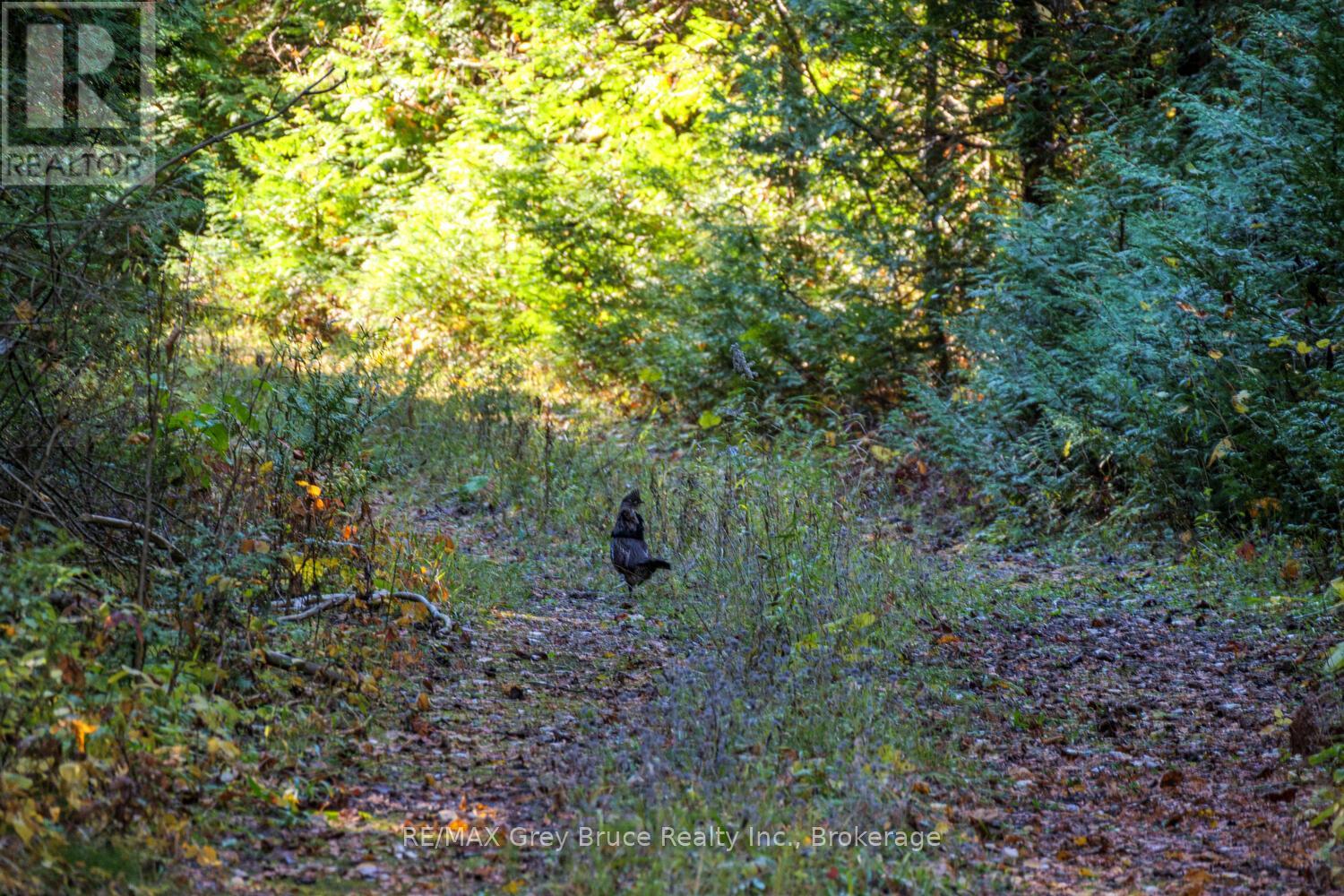 153 Mcdonough Lane, Northern Bruce Peninsula, Ontario  N0H 1Z0 - Photo 14 - X12504974