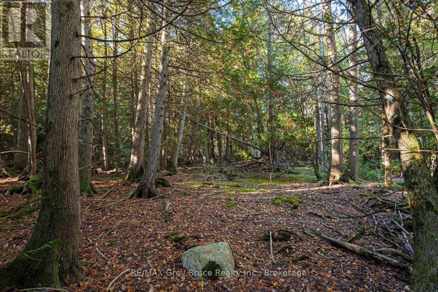 153 Mcdonough Lane, Northern Bruce Peninsula, Ontario  N0H 1Z0 - Photo 15 - X12504974