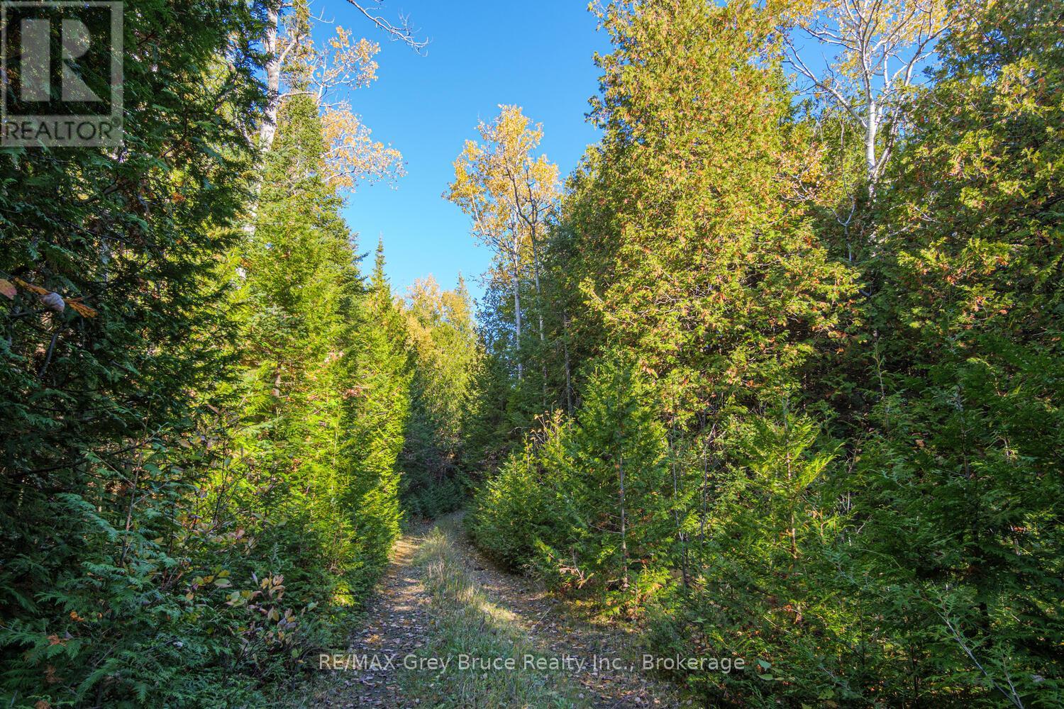 153 Mcdonough Lane, Northern Bruce Peninsula, Ontario  N0H 1Z0 - Photo 16 - X12504974