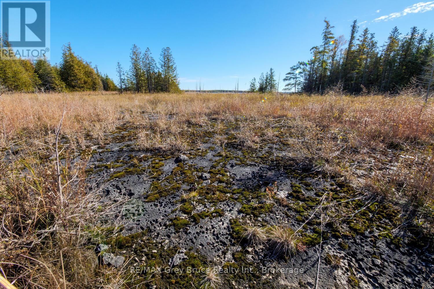 153 Mcdonough Lane, Northern Bruce Peninsula, Ontario  N0H 1Z0 - Photo 20 - X12504974