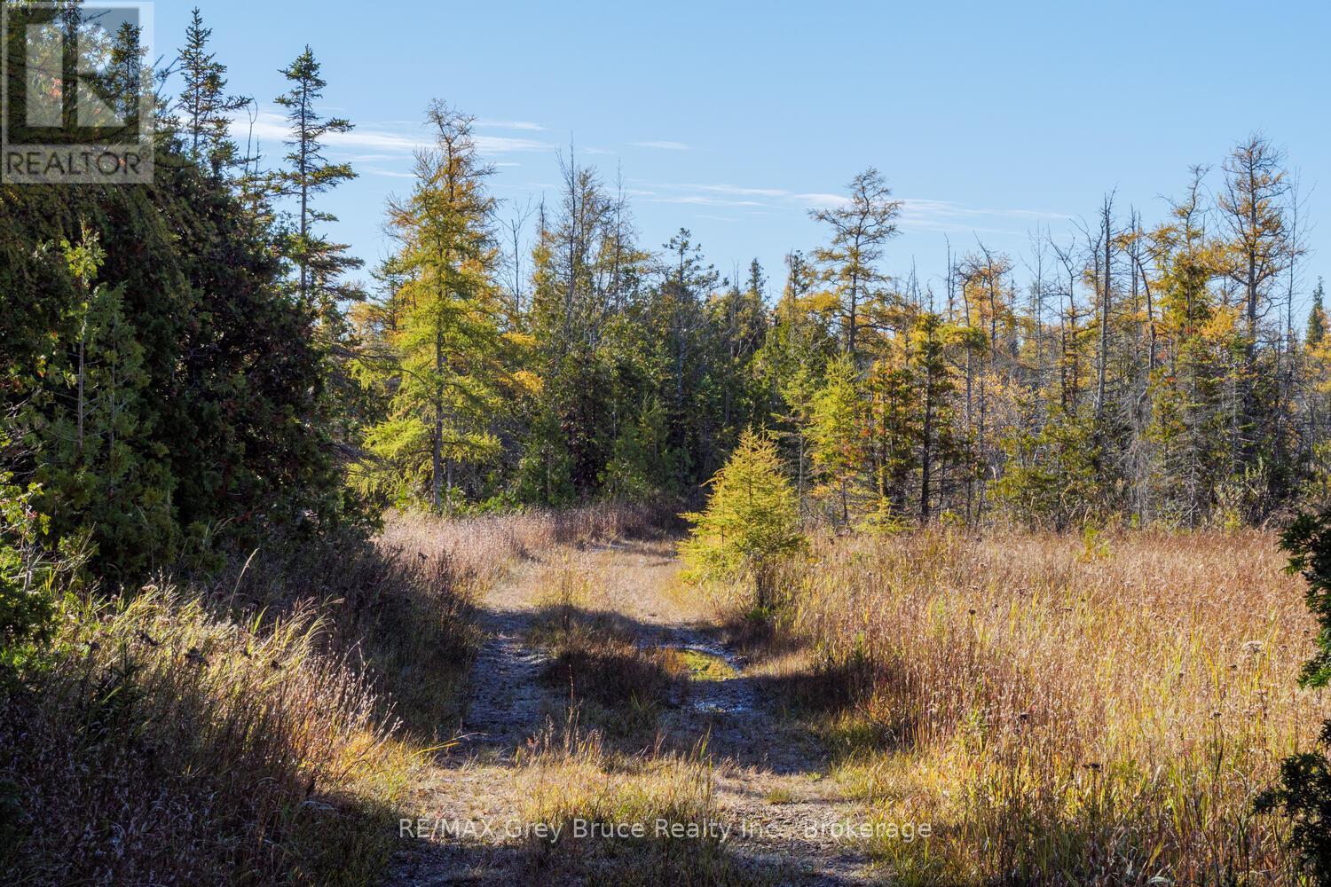 153 Mcdonough Lane, Northern Bruce Peninsula, Ontario  N0H 1Z0 - Photo 22 - X12504974
