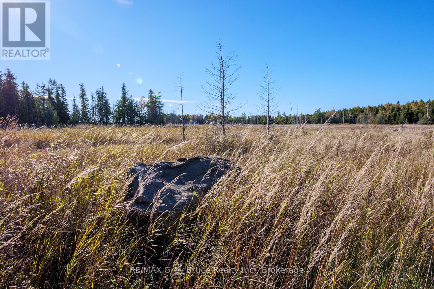 153 Mcdonough Lane, Northern Bruce Peninsula, Ontario  N0H 1Z0 - Photo 23 - X12504974