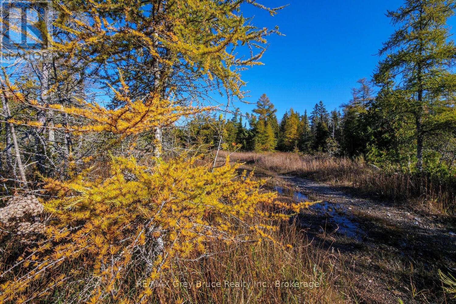 153 Mcdonough Lane, Northern Bruce Peninsula, Ontario  N0H 1Z0 - Photo 27 - X12504974