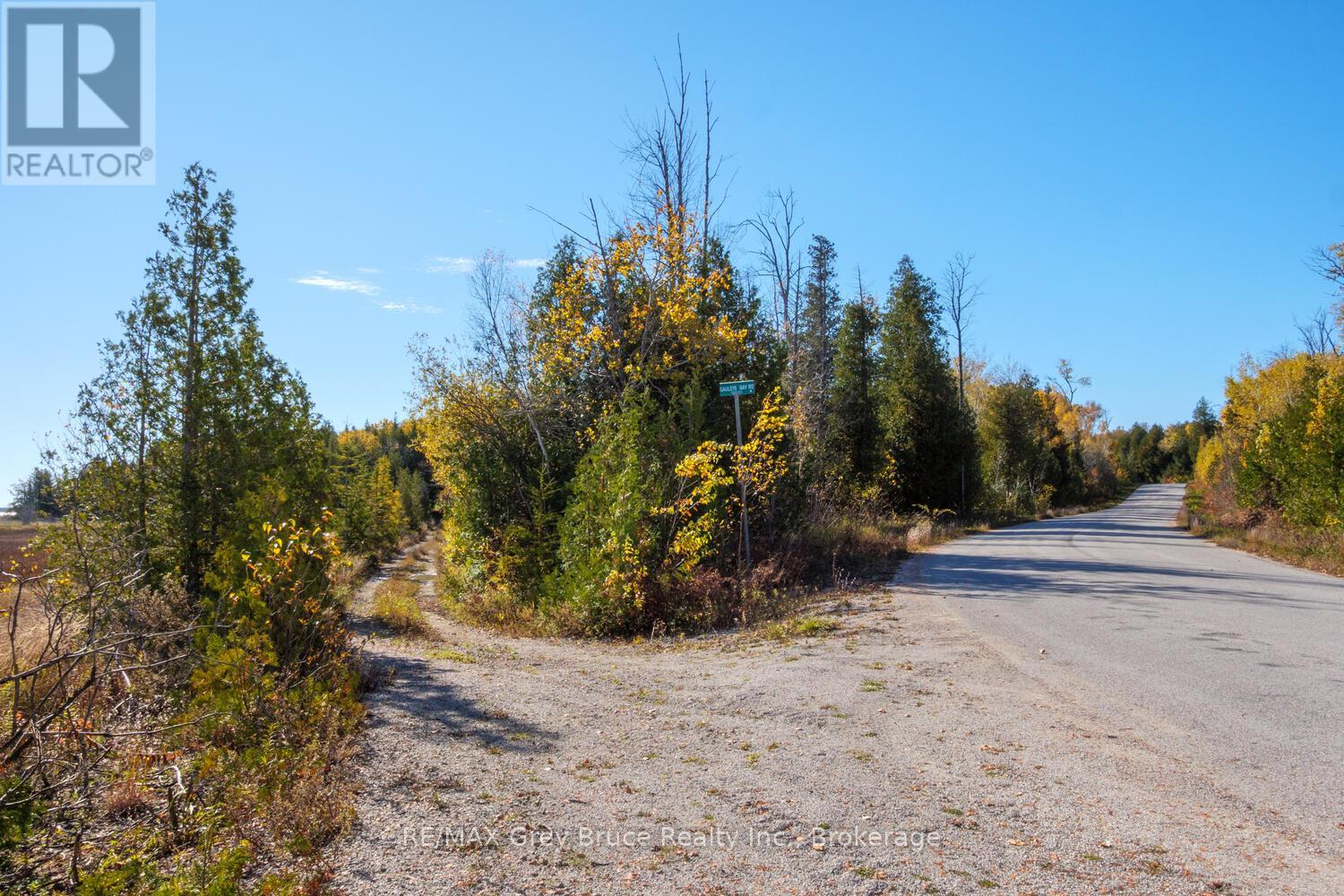 153 Mcdonough Lane, Northern Bruce Peninsula, Ontario  N0H 1Z0 - Photo 6 - X12504974