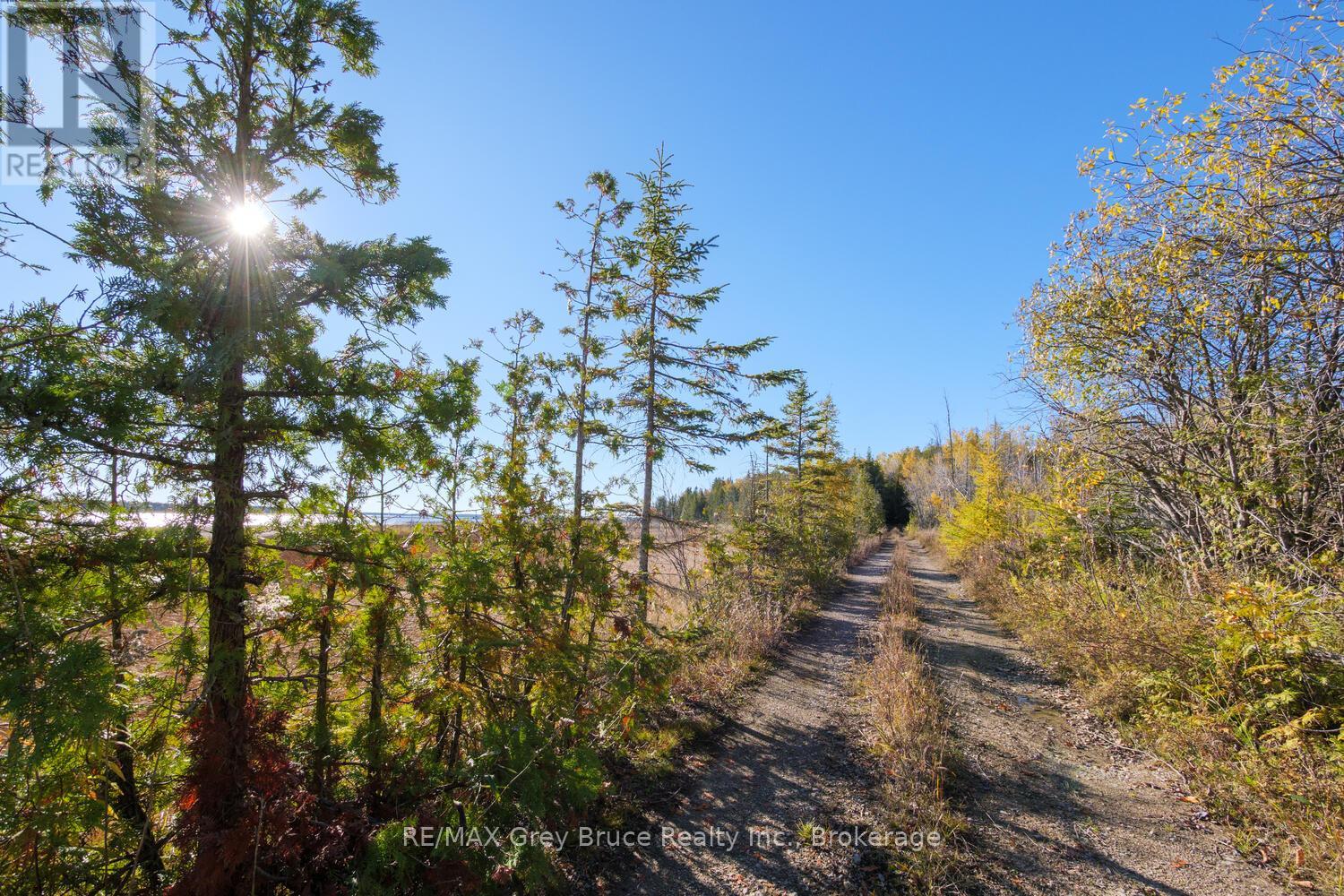 153 Mcdonough Lane, Northern Bruce Peninsula, Ontario  N0H 1Z0 - Photo 7 - X12504974