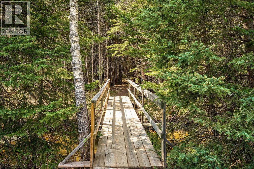 98 Saddle Road, Rural Rocky View County, Alberta  T0L 0K0 - Photo 46 - A2236264