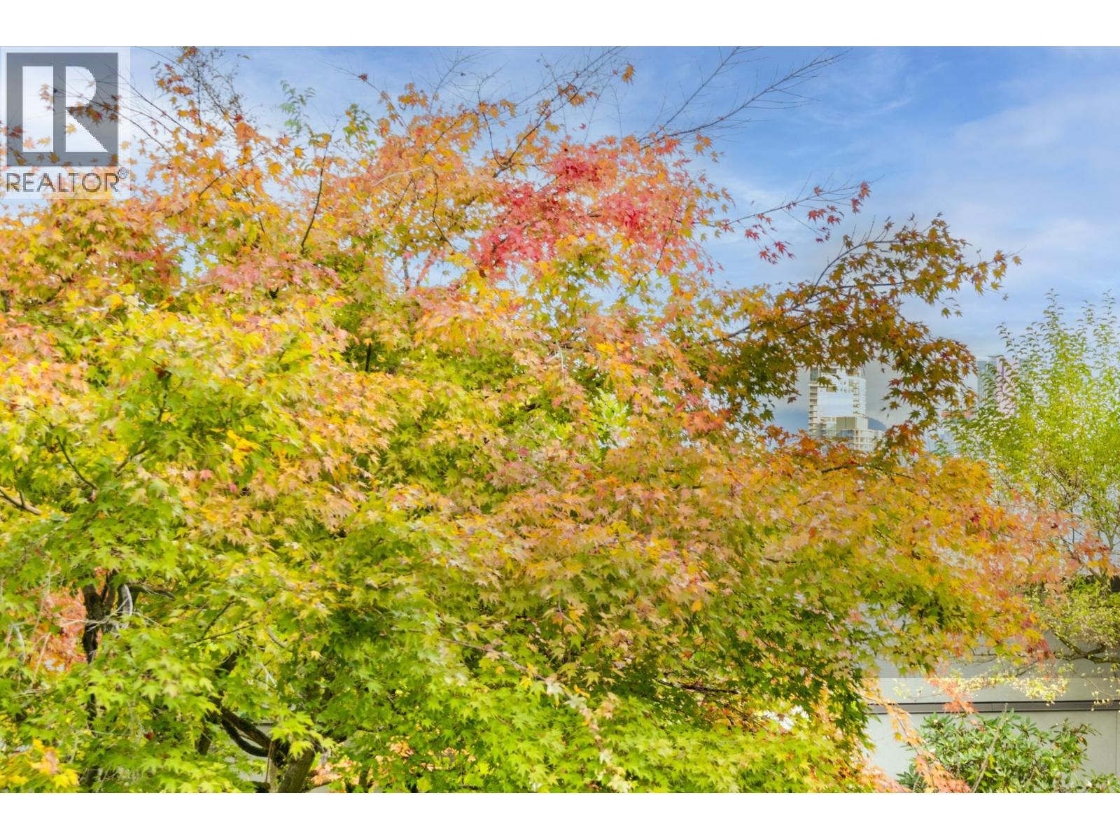 1365 W 8th Avenue, Vancouver, British Columbia  V6H 3W4 - Photo 12 - R3064213