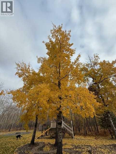 105, 715010 Range Road 84 Range, Rural Grande Prairie No. 1, Alberta  T0H 3S0 - Photo 39 - A2268460