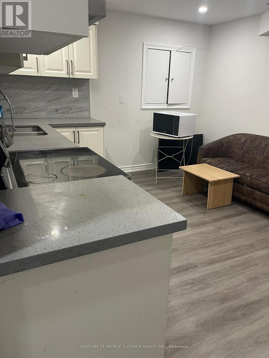 Basement - 28 Meandering Trail, Toronto, Ontario  M1B 6E8 - Photo 5 - E12505210