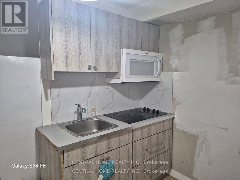 168 Brammar (Basement) Street, Newmarket, Ontario  L3Y 7T3 - Photo 3 - N12505196