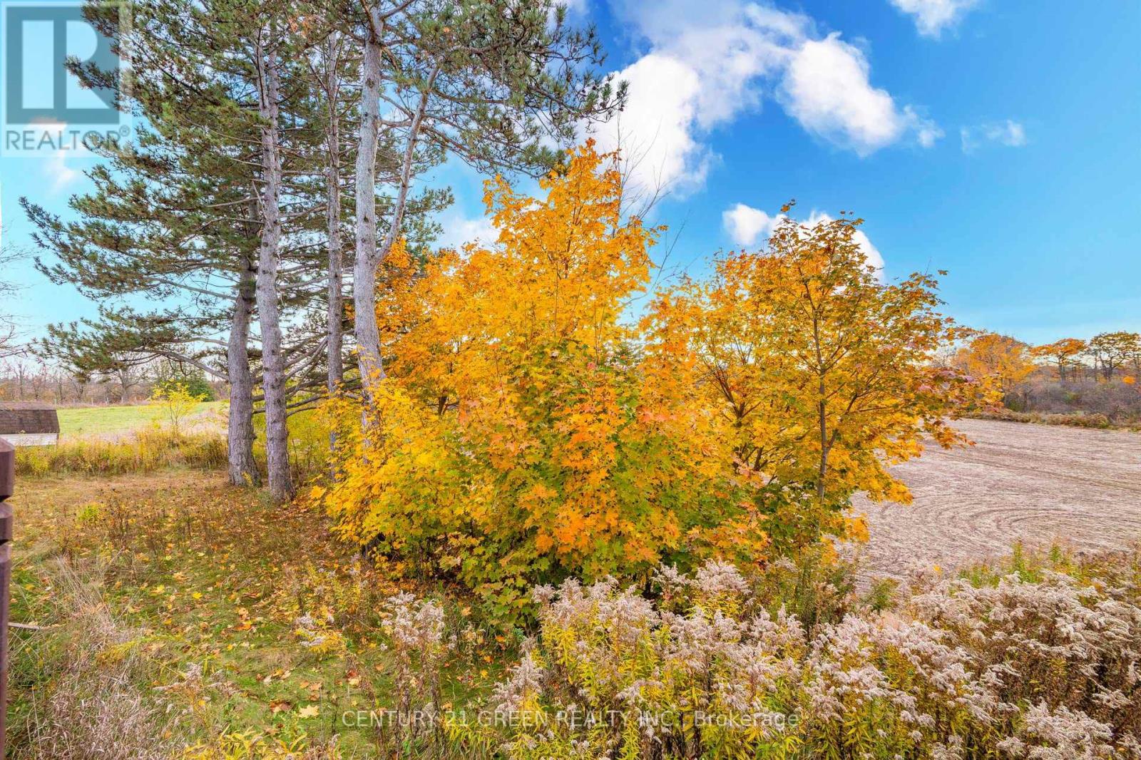 4512 Tremaine Road, Milton, Ontario  L9T 2Y1 - Photo 38 - W12505322