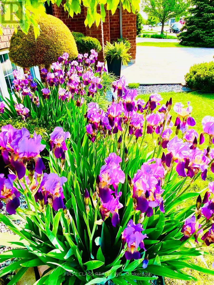 2570 Skinner Street, Lasalle, Ontario  N9H 2R6 - Photo 2 - X12505392