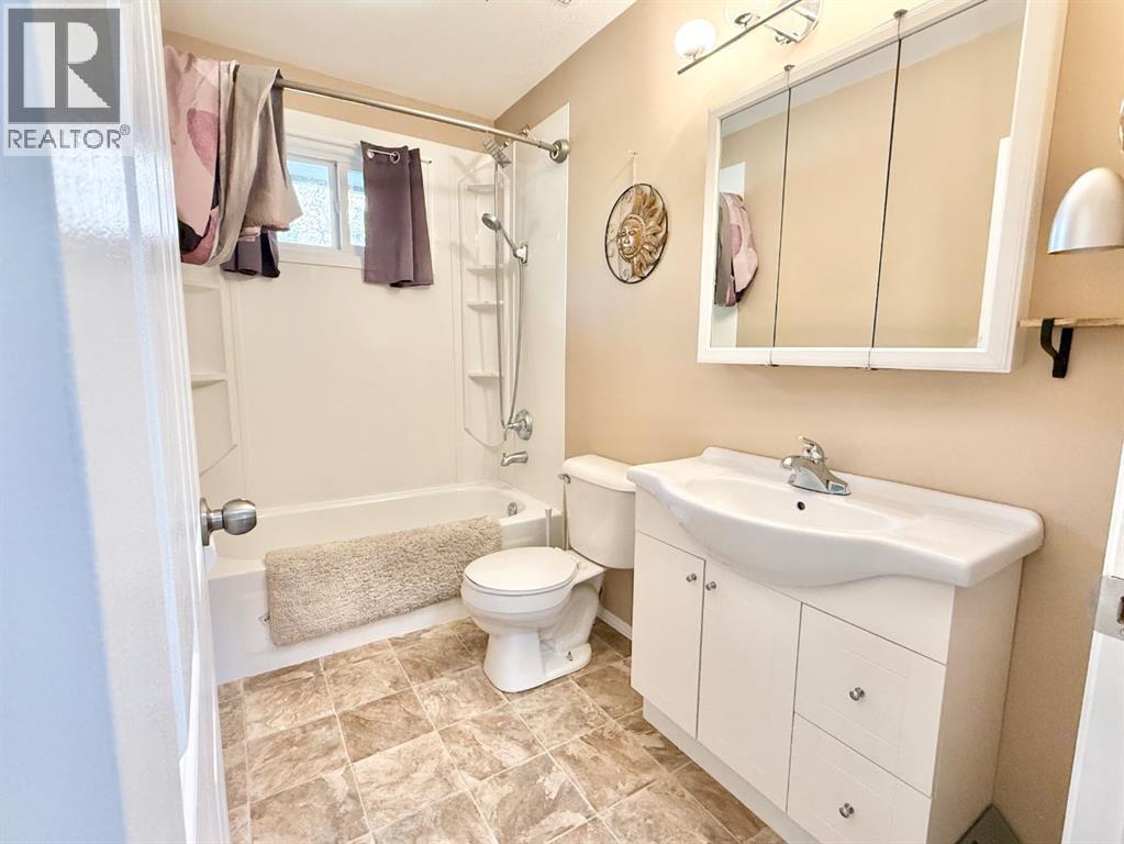 66 2 Avenue E, Tilley, Alberta  T0J 3K0 - Photo 16 - A2257339