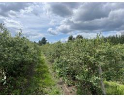 9445 CATHERWOOD ROAD, Mission, British Columbia