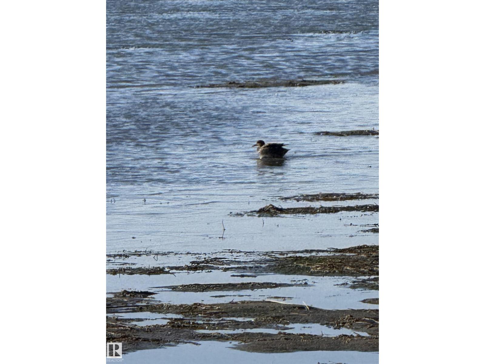 4531 47 St, Rural Lac Ste. Anne County, Alberta  T0E 0A0 - Photo 31 - E4450635