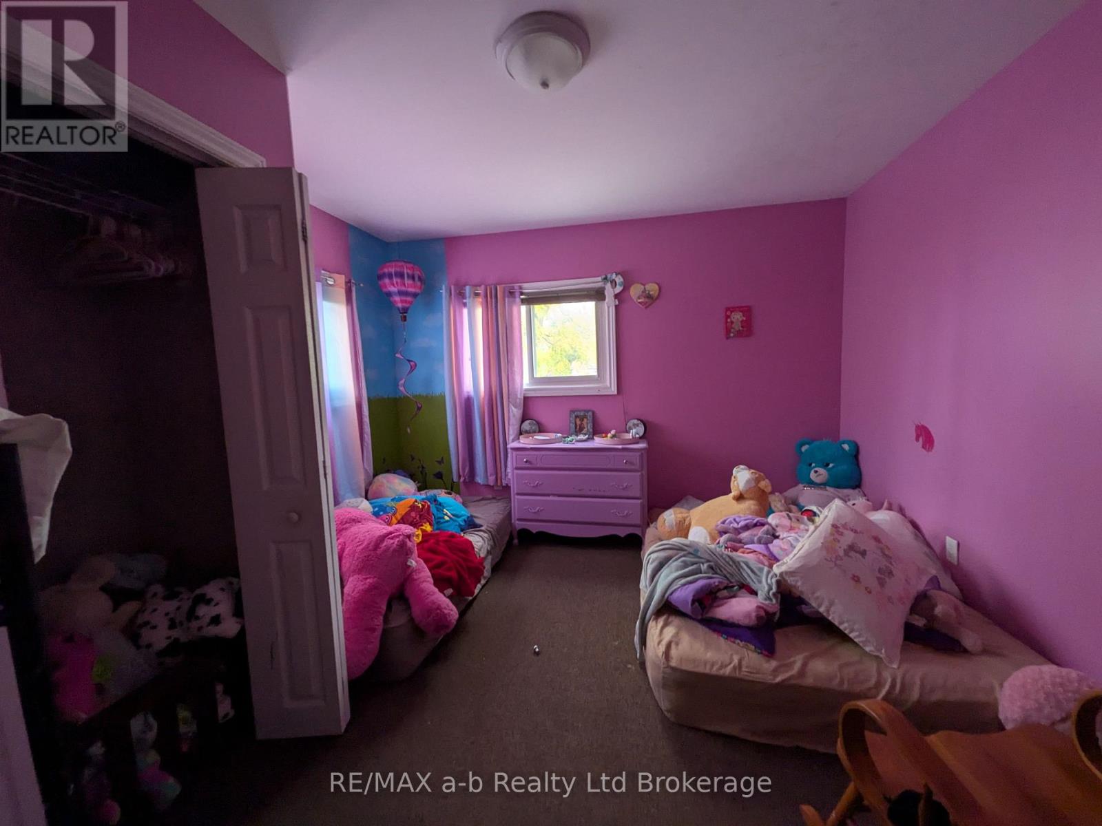 52 Earle Street, Tillsonburg, Ontario  N4G 2M4 - Photo 20 - X12505582