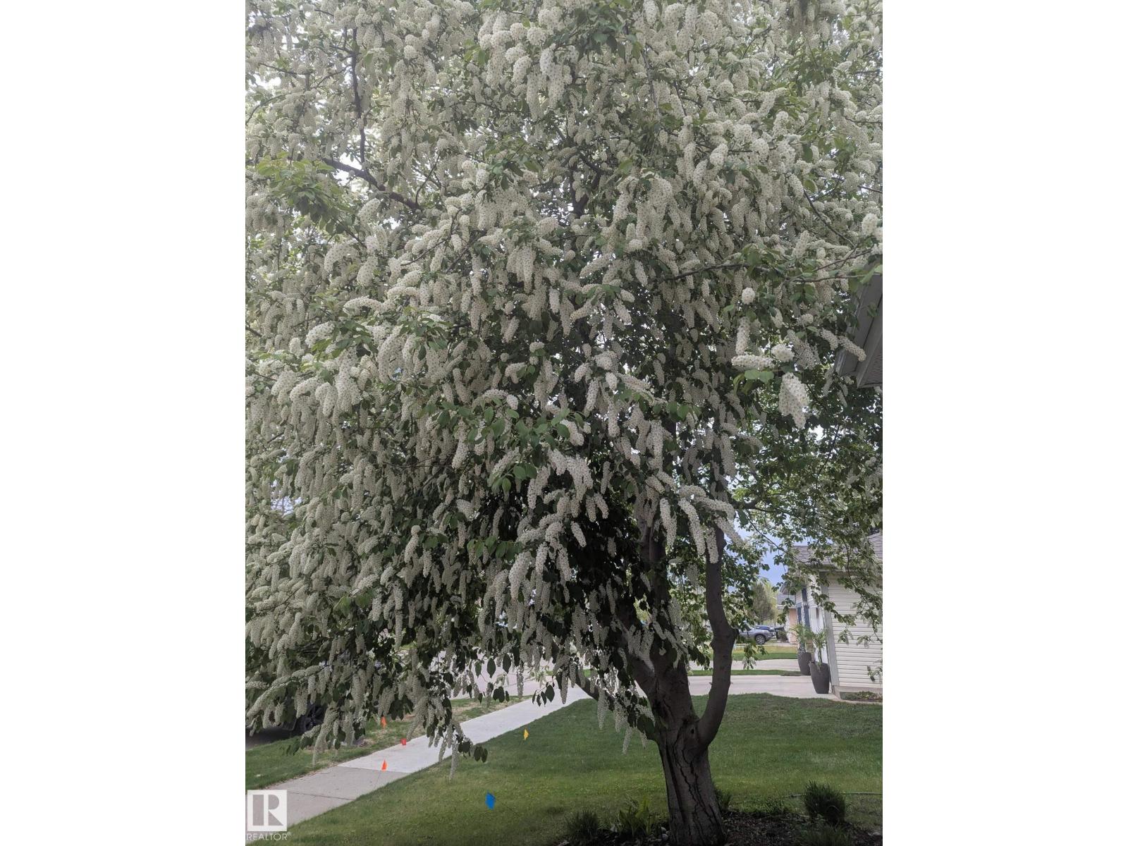 158 Meadowview Dr, Sherwood Park, Alberta  T8H 1P8 - Photo 3 - E4463013