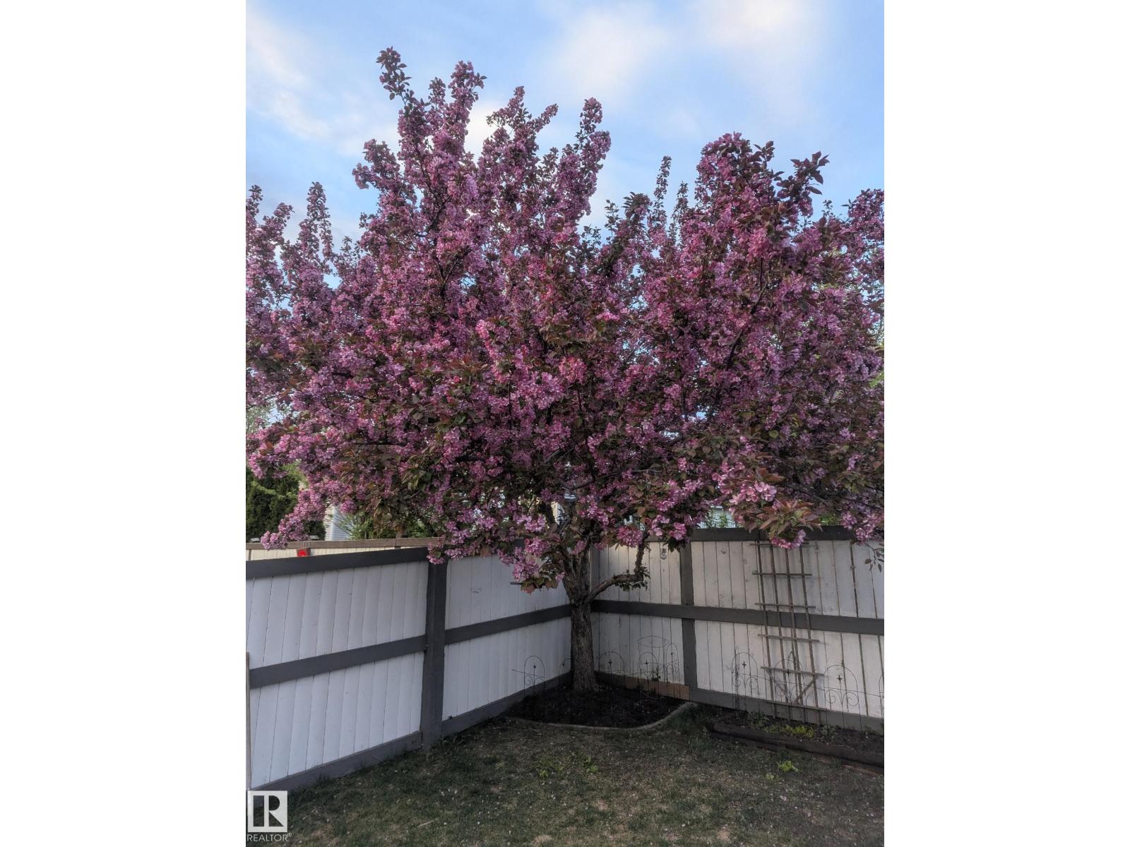 158 Meadowview Dr, Sherwood Park, Alberta  T8H 1P8 - Photo 4 - E4463013