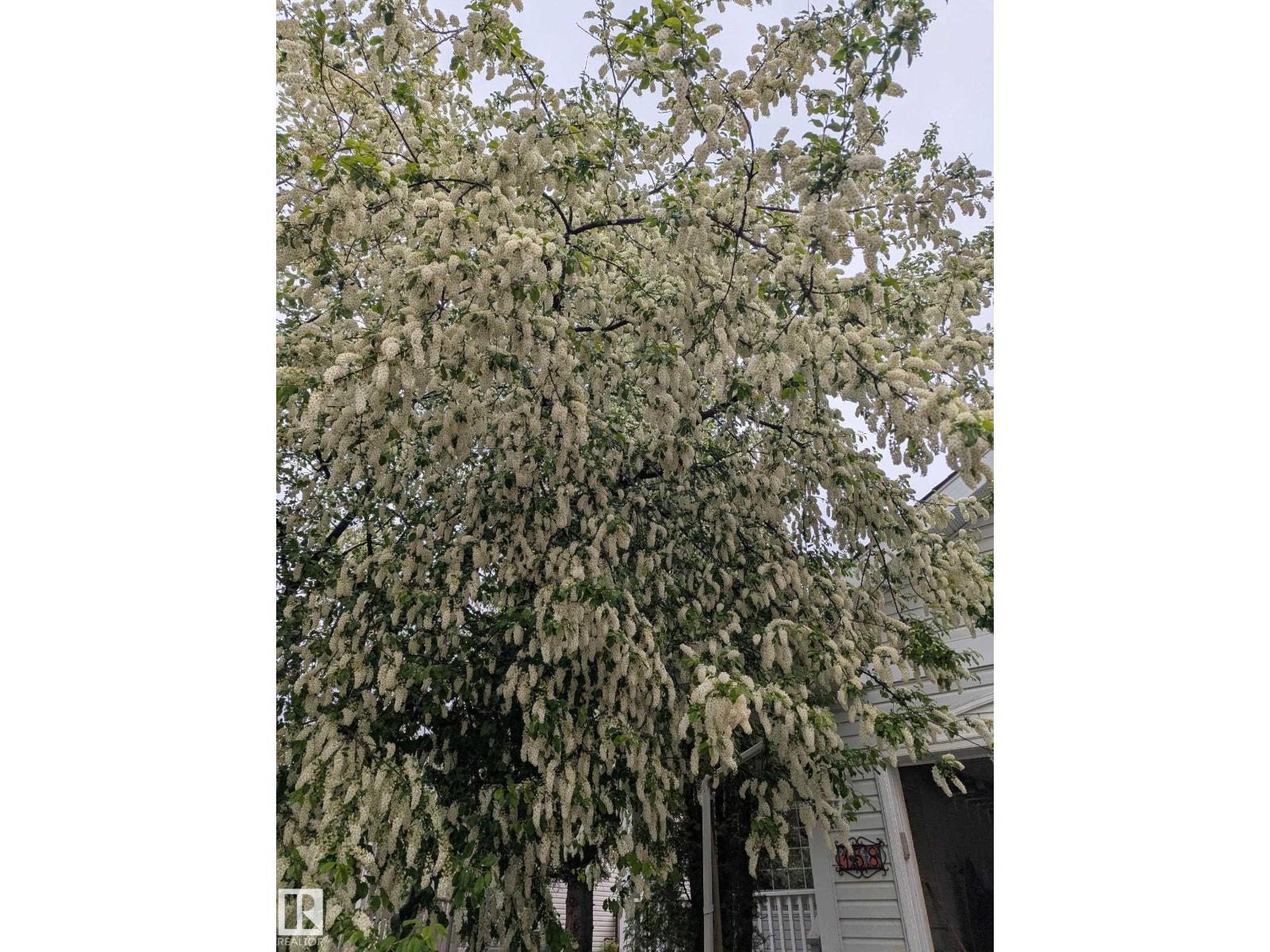 158 Meadowview Dr, Sherwood Park, Alberta  T8H 1P8 - Photo 2 - E4463013